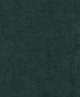 Échantillon tissu Samba