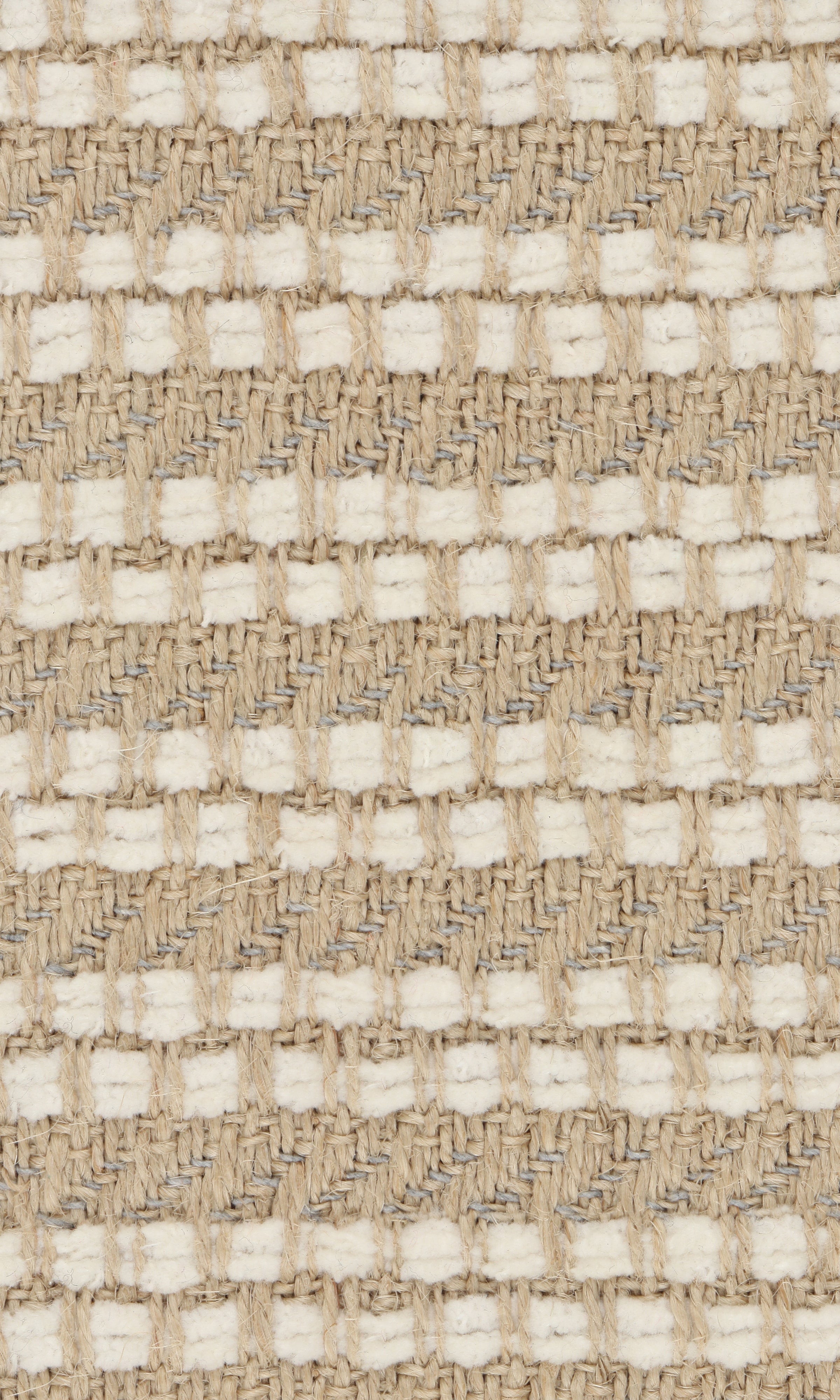 Phylo fabric sample