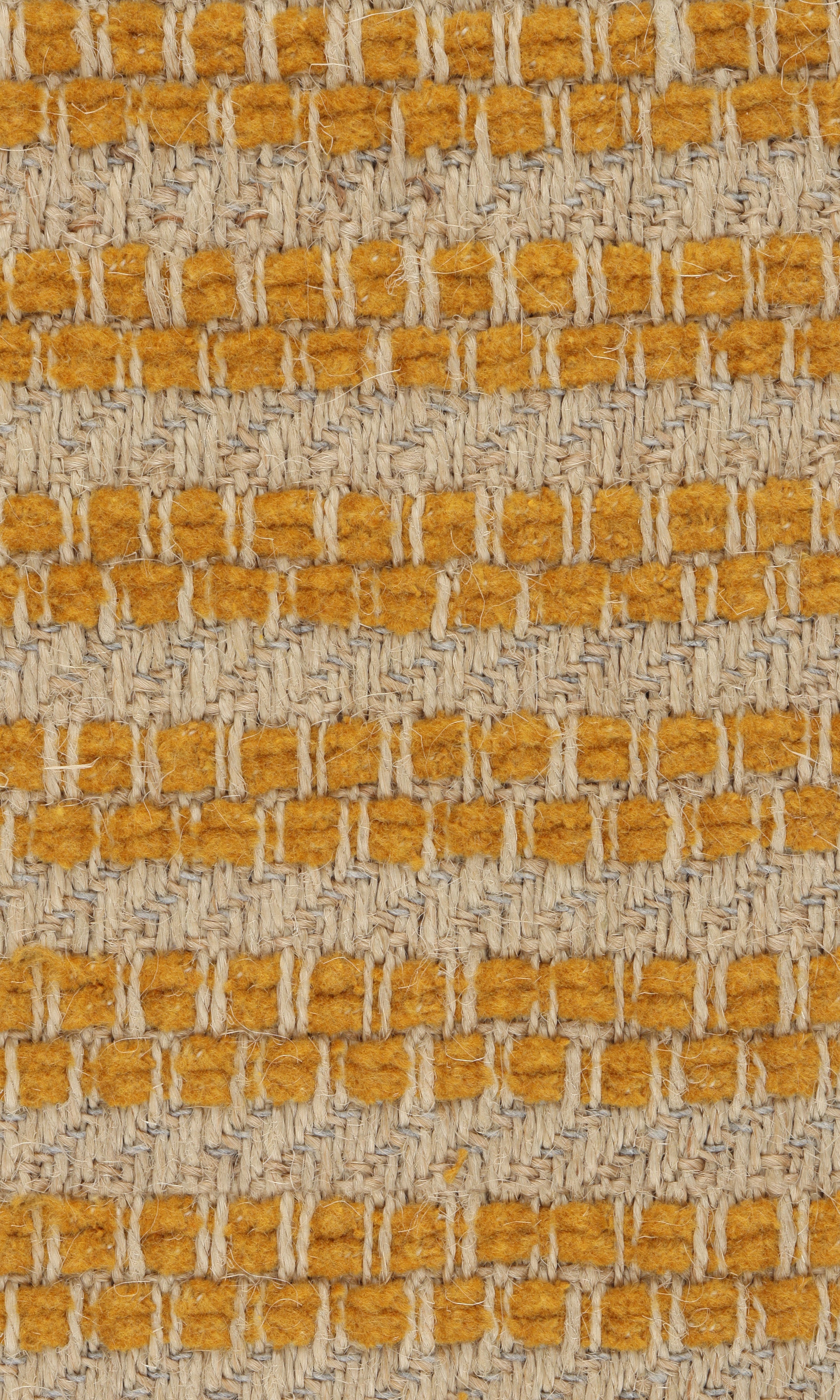 Phylo fabric sample