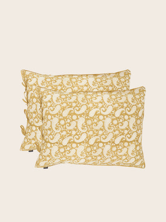 Set of 2 Paisley pillowcases