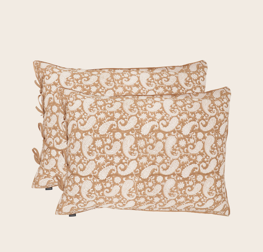 Set of 2 Paisley pillowcases