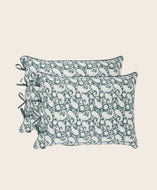 Set of 2 Paisley pillowcases