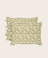 Set of 2 Paisley pillowcases
