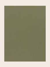Échantillon de peinture