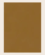 Échantillon de peinture
