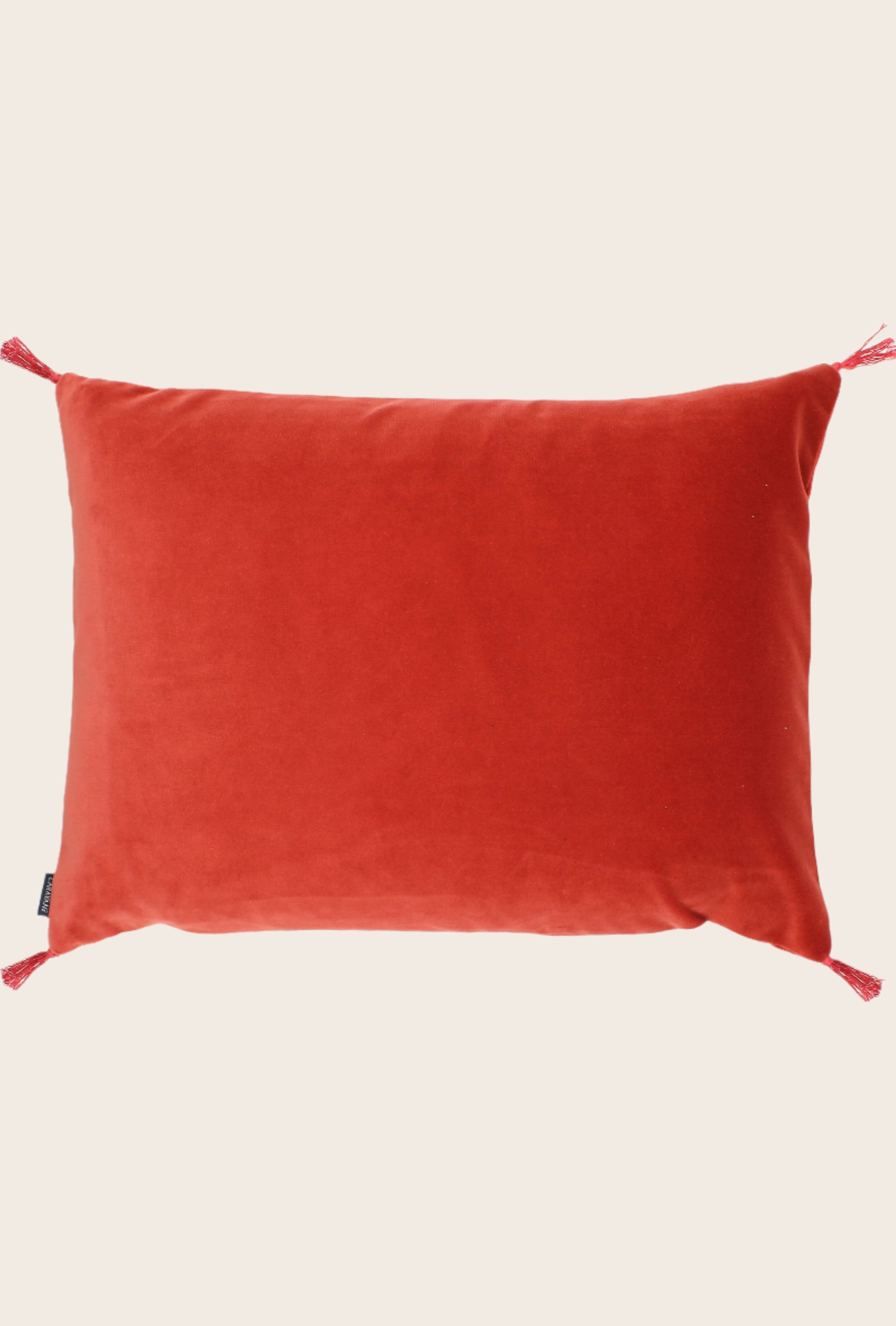Housse de coussin Smooth