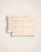 Set of 2 Paisley pillowcases