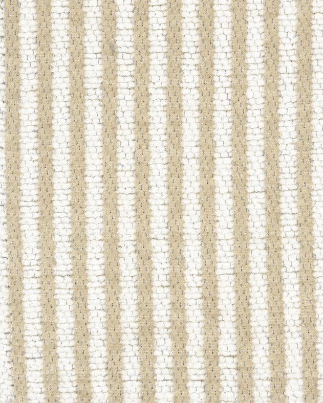 Tempo Allegro Fabric