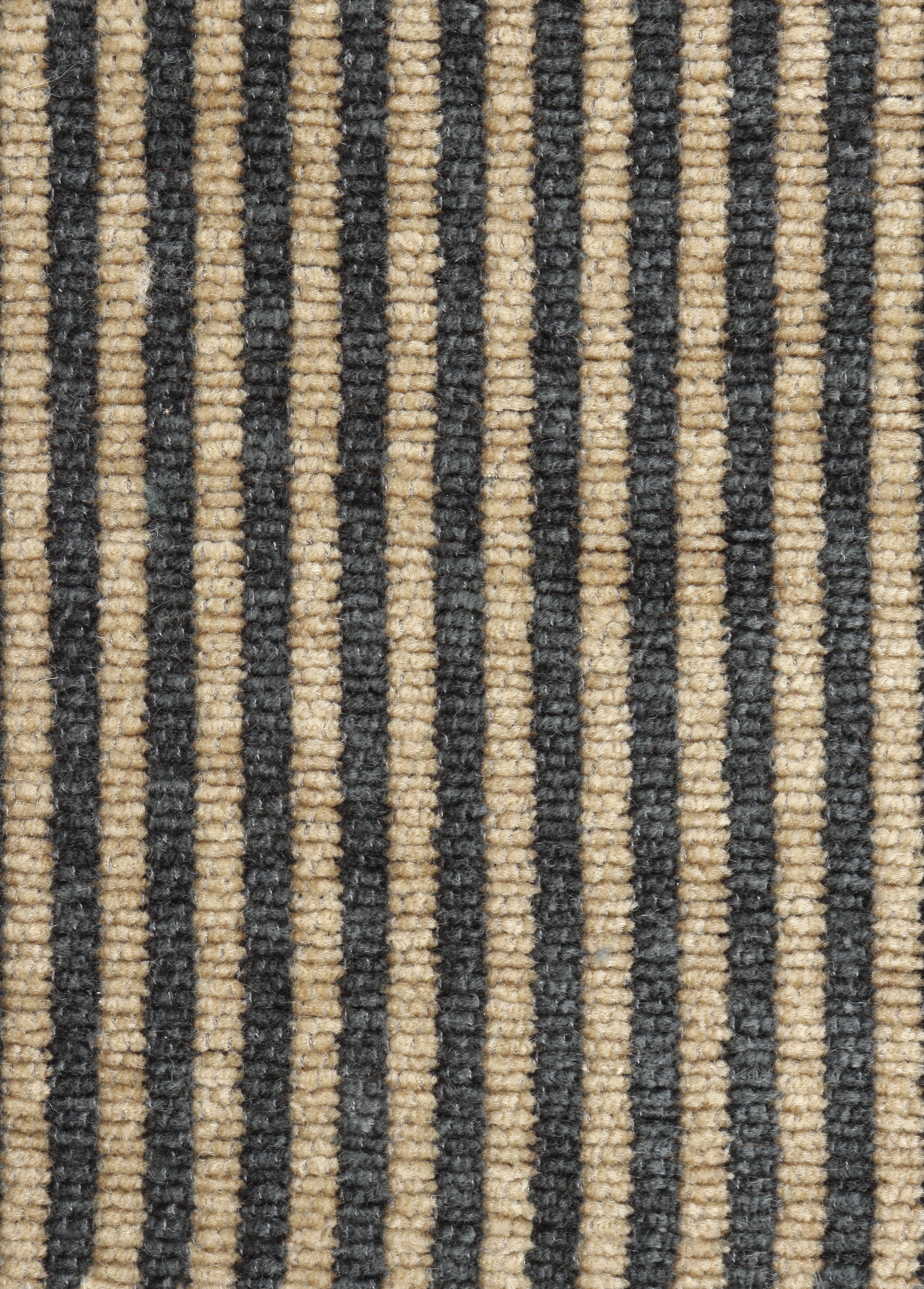 Tempo Allegro Fabric
