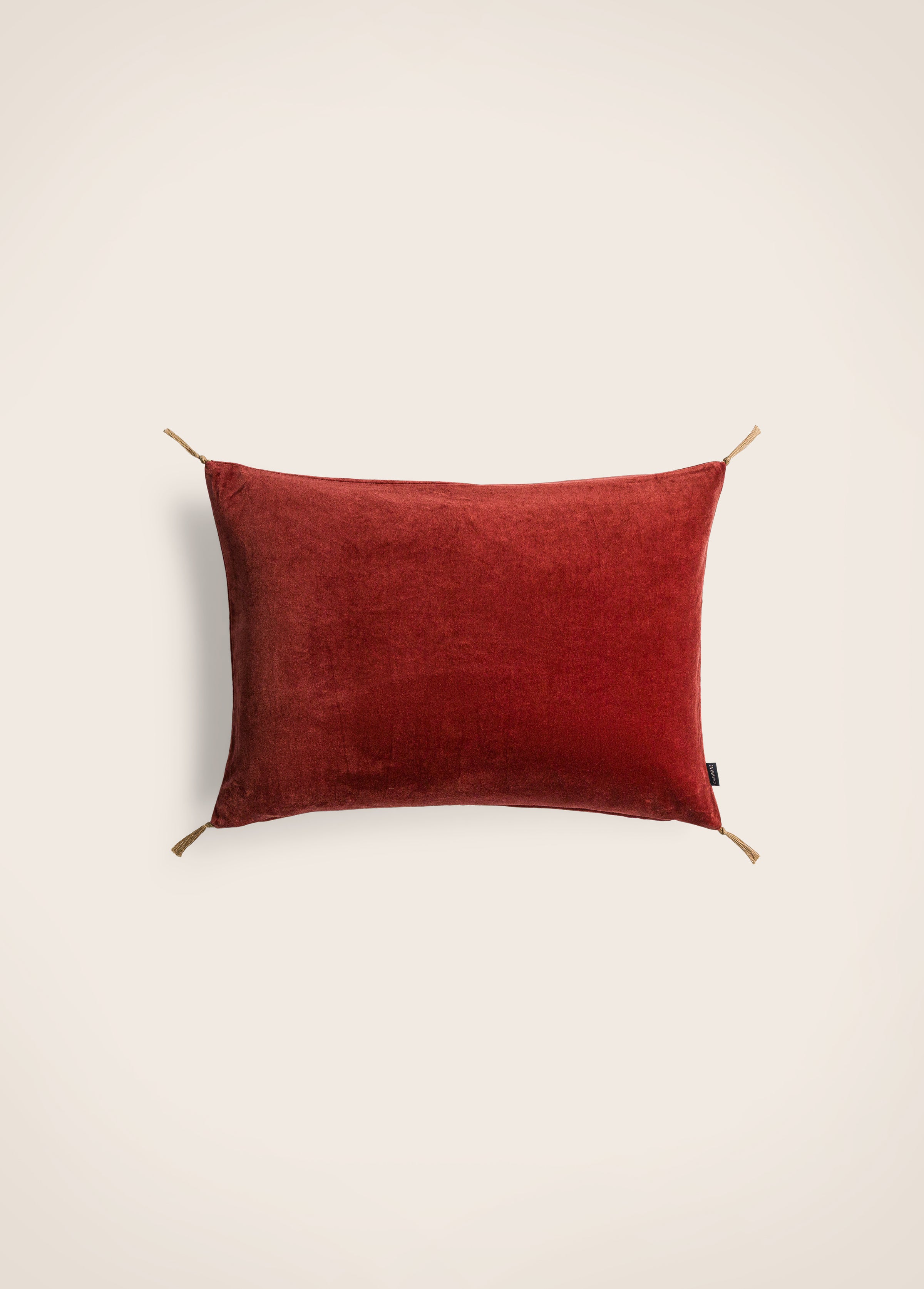 Washed velvet cushion cover