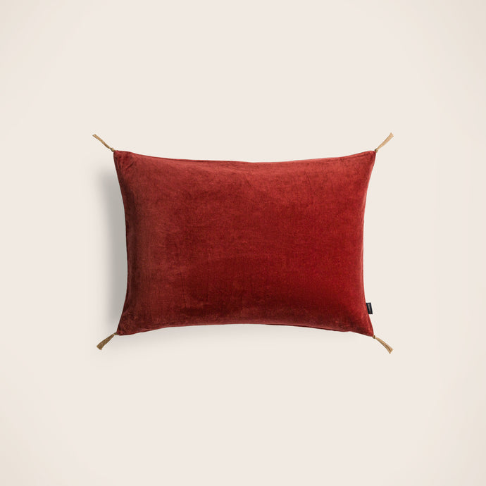 Washed velvet cushion cover