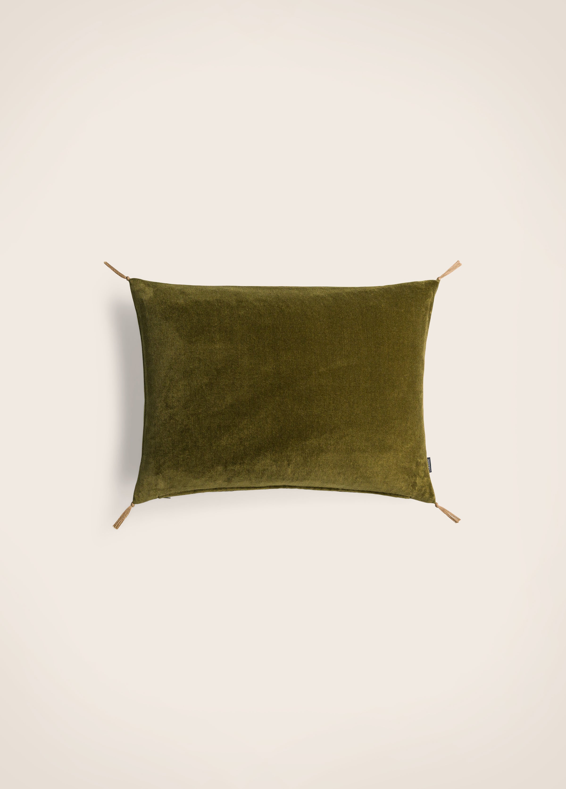 Washed velvet cushion cover