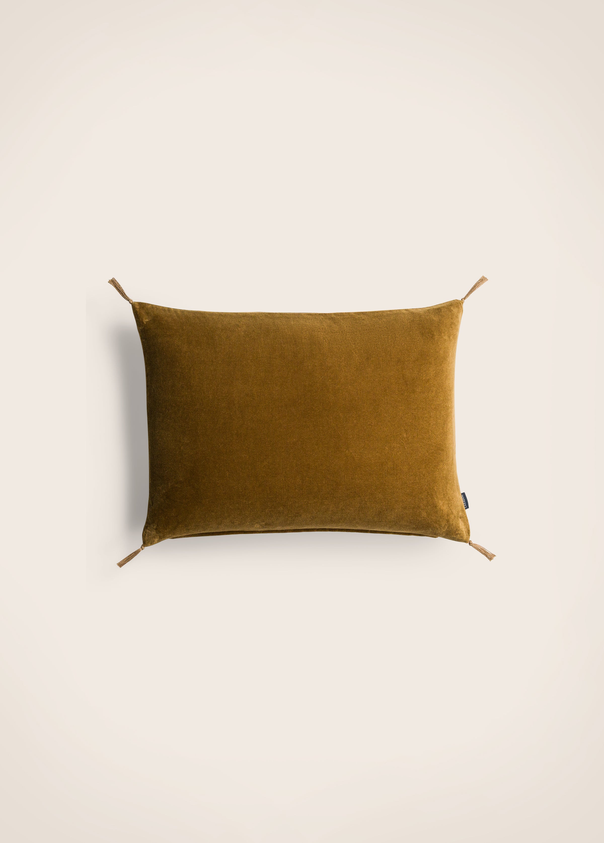 Washed velvet cushion cover