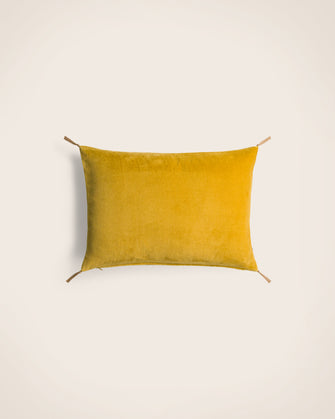 Washed velvet cushion cover