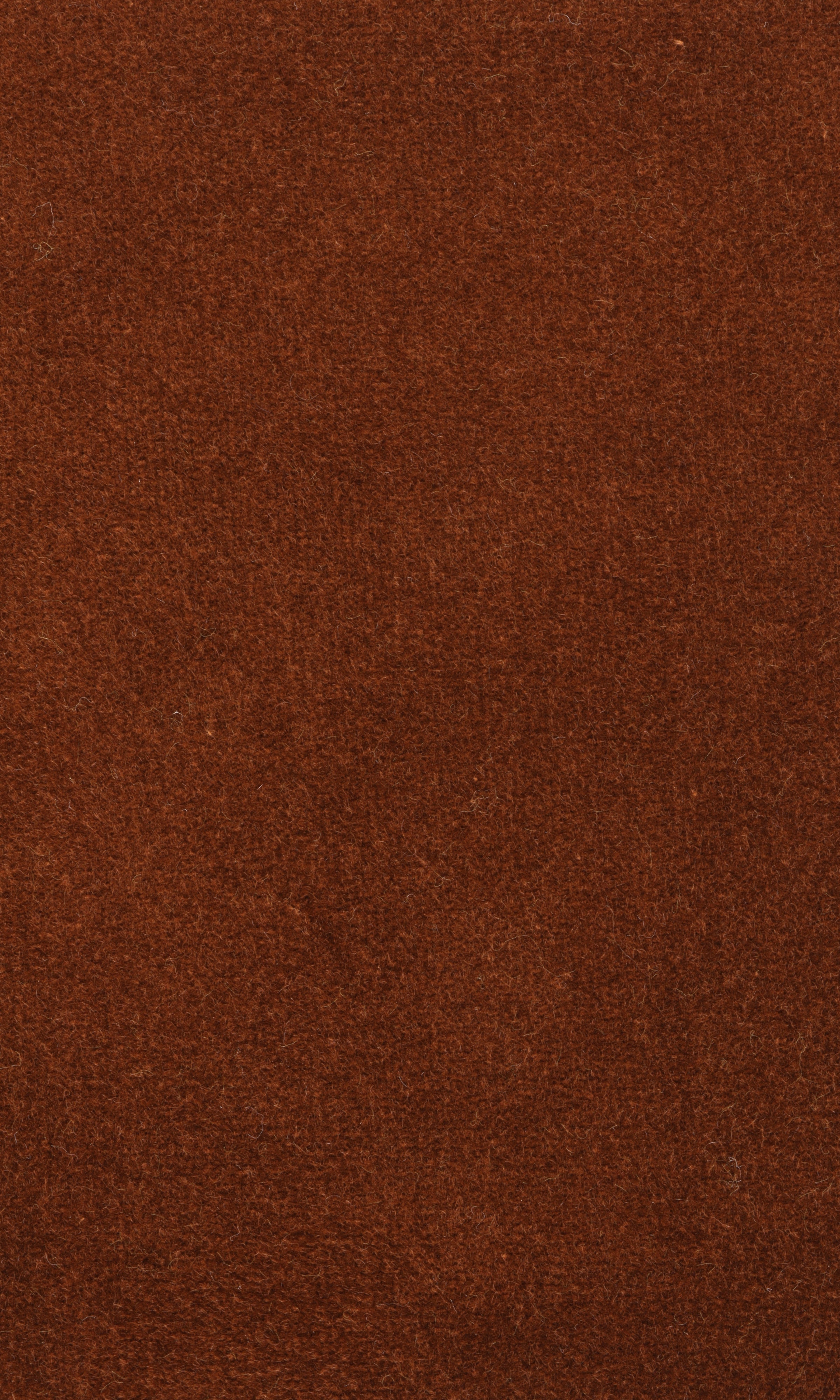 Dolce fabric