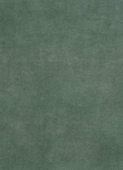 Tissu Velours lavé