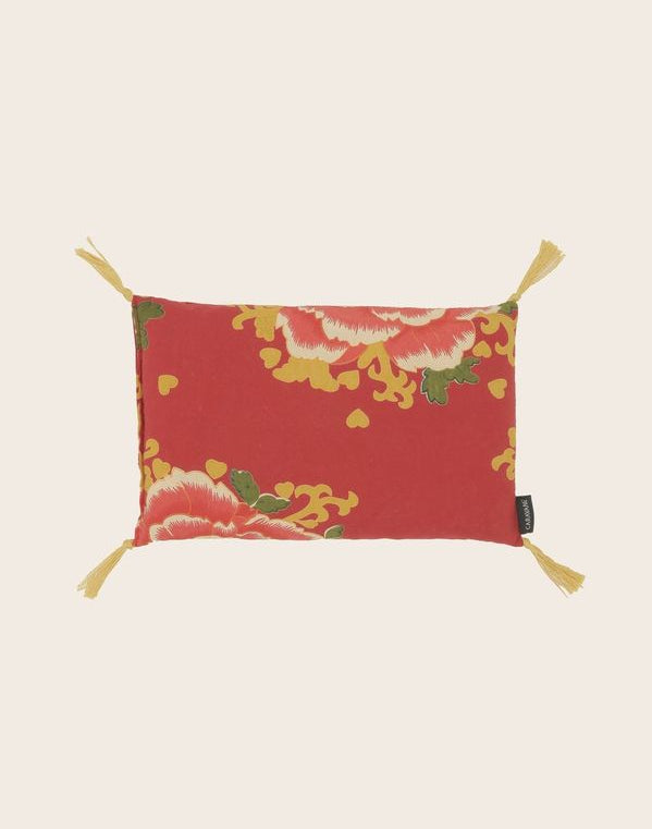 Noyaux de cerise Liao