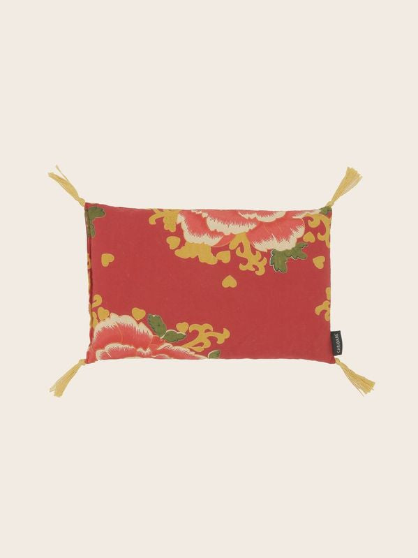 Noyaux de cerise Liao