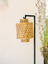Suspension Ilam
