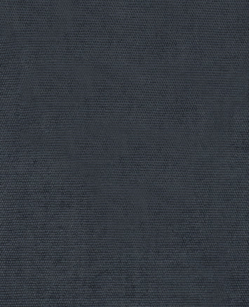 Tissu Samba