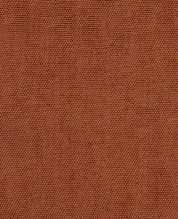 Tissu Samba