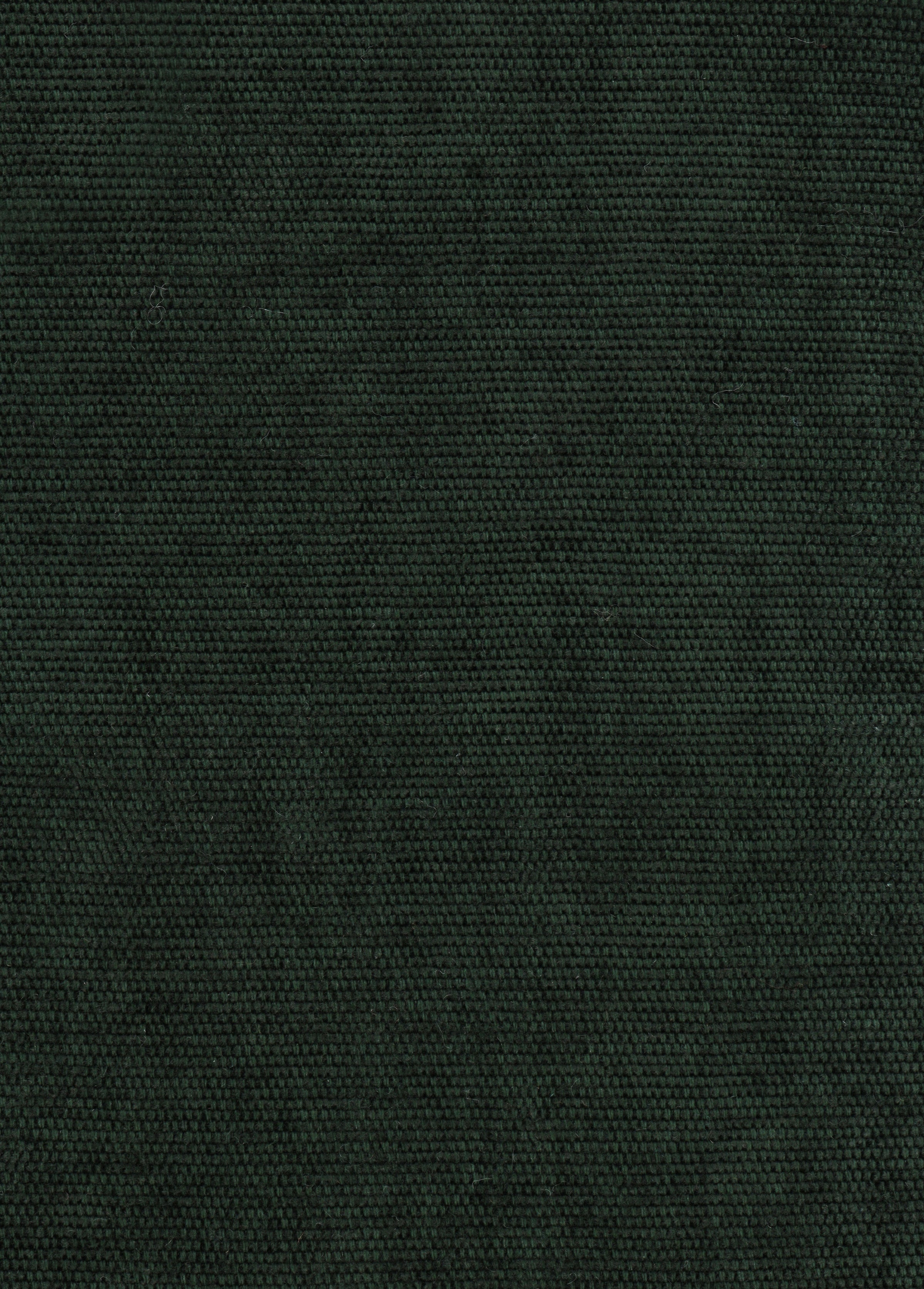Tissu Samba
