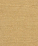 Tissu Samba