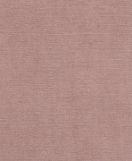 Tissu Samba