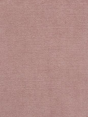 Tissu Samba