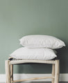 Intérieur de coussin en plume de canard