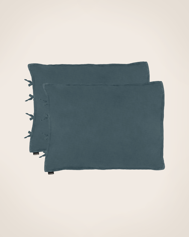 Set of 2 Selena pillowcases