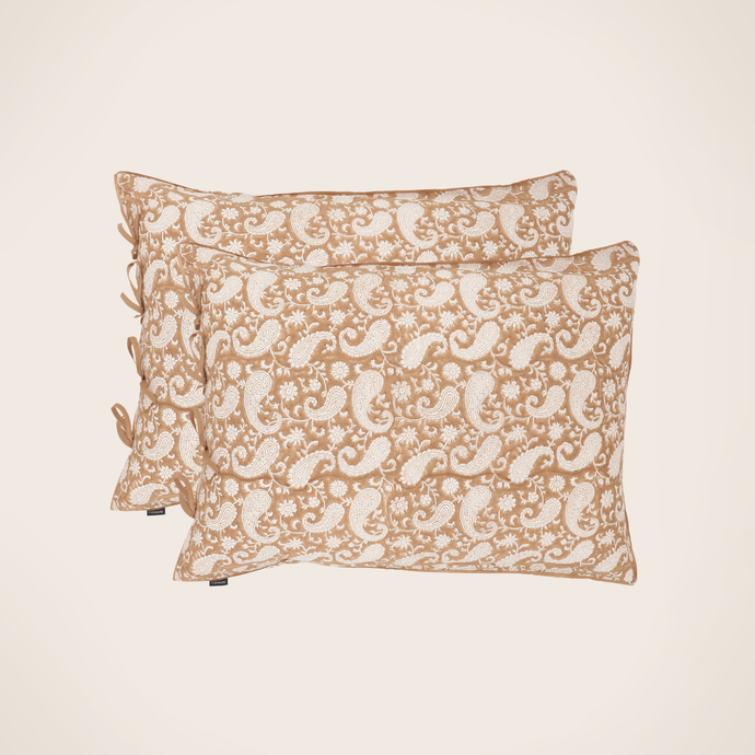 Set of 2 Paisley pillowcases