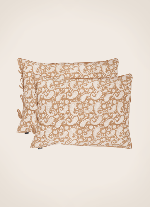 Set of 2 Paisley pillowcases