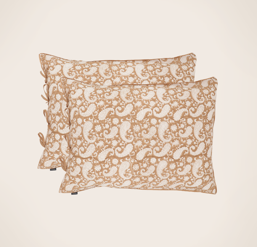 Set of 2 Paisley pillowcases