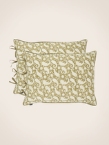 Set of 2 Paisley pillowcases
