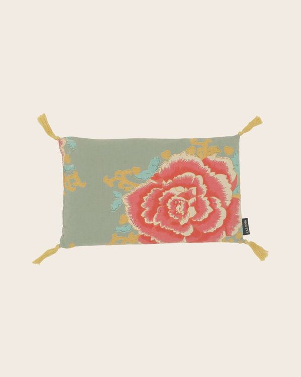 Noyaux de cerise Liao