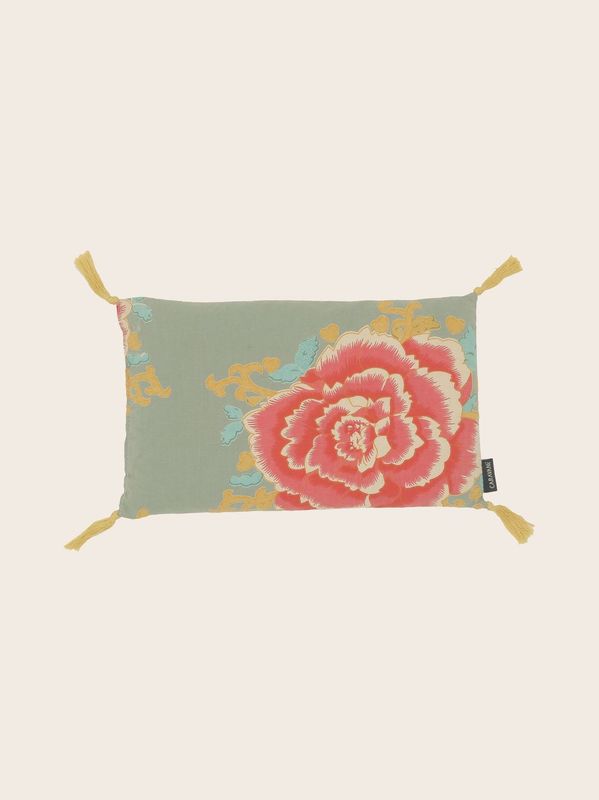 Noyaux de cerise Liao