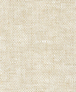 Artaban fabric sample