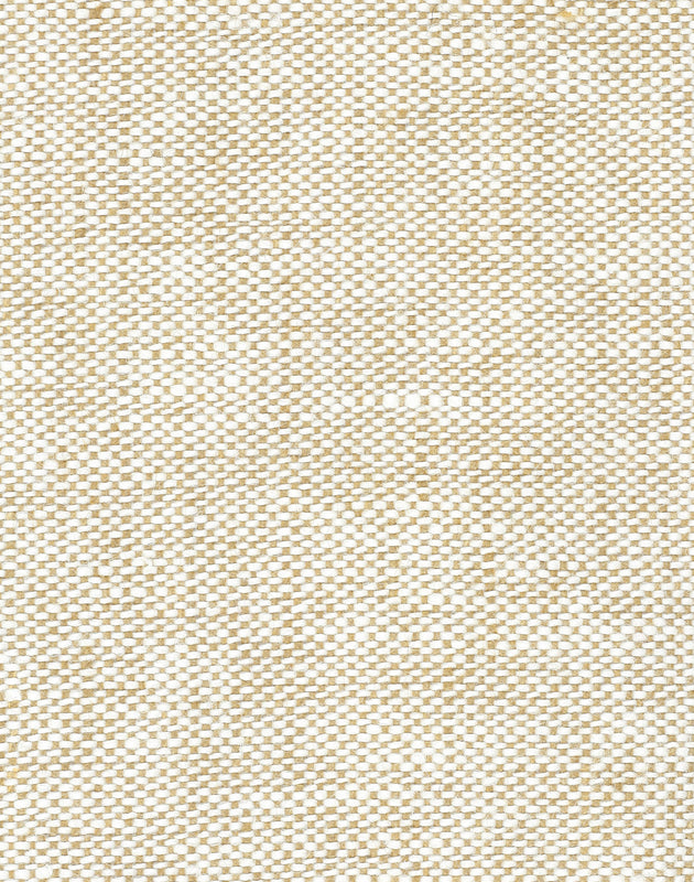 Artaban fabric sample