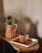 Tiger trays